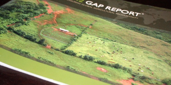 2012 Ag Report