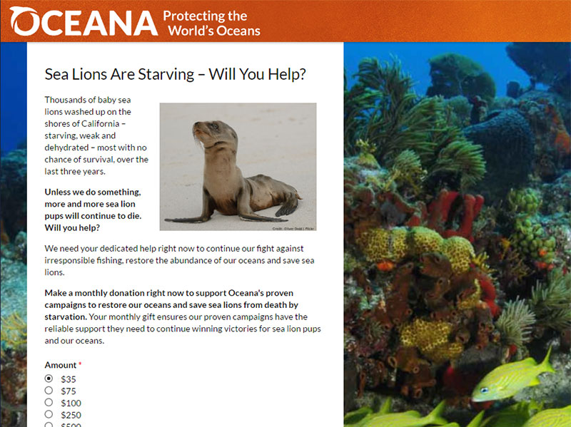 QA & Error Resolution for Ocean Conservation Nonprofit’s Donation Campaigns