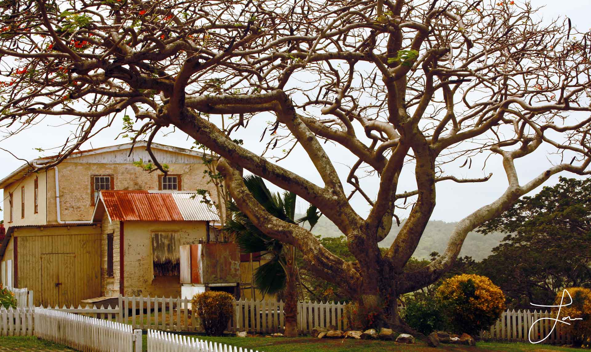 House, Tobago by Lanaé
